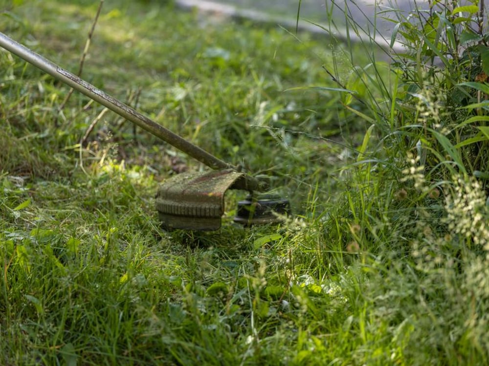Yard cleanups and storm prep